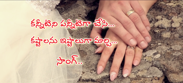 Kannitini Pannitiga Chesi Song Lyrics from Gangotri - Allu Arjun